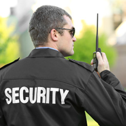 Male Security Guard Using Wireless Device
